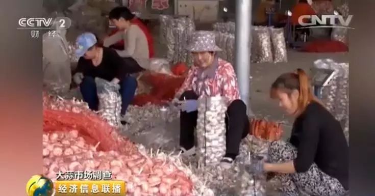 配资是什么意思啊_配资是什么_按月配资