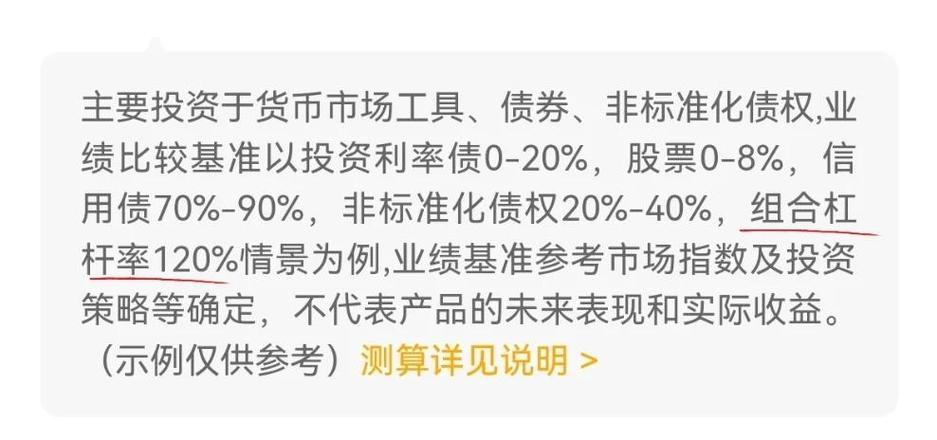 外汇杠杆率高好还是低好_金融杠杆是什么意思_杠杆率是什么意思