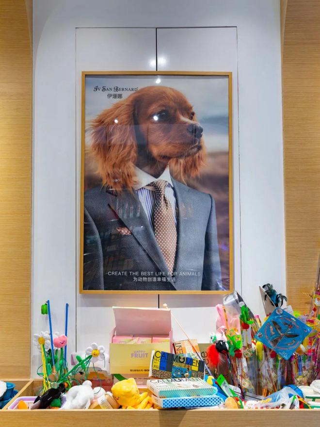 上海宠物经济_高端宠物店体验_上海宠幸宠物用品有限公司怎么样