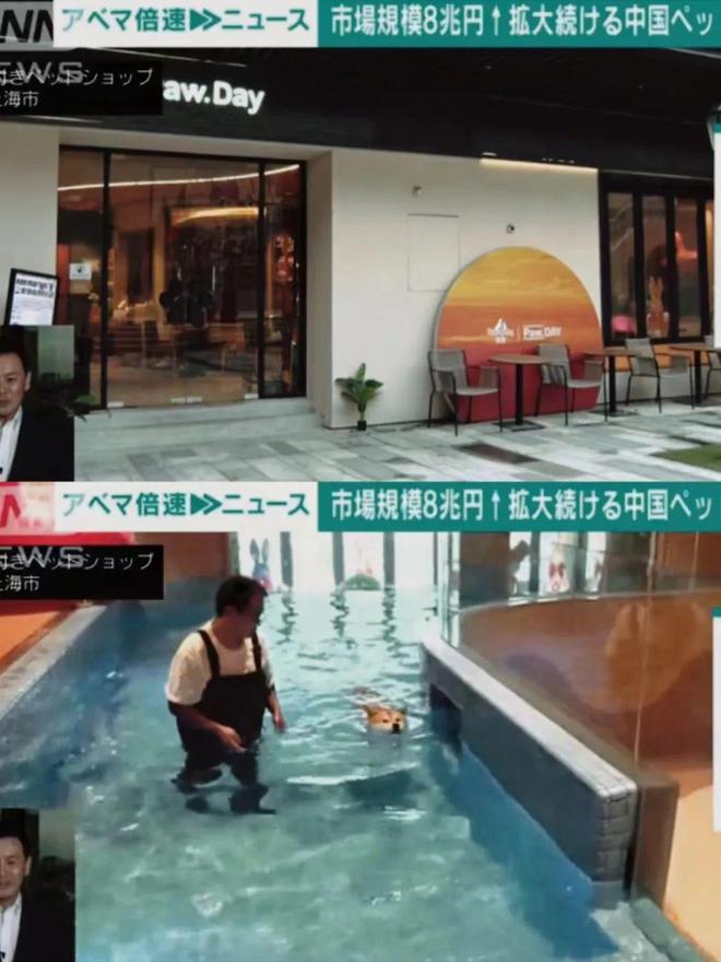 上海宠物经济_上海宠幸宠物用品有限公司怎么样_高端宠物店体验