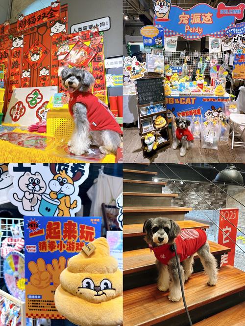 上海宠幸宠物用品有限公司怎么样_高端宠物店体验_上海宠物经济