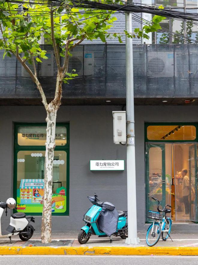 上海宠物经济_上海宠幸宠物用品有限公司怎么样_高端宠物店体验