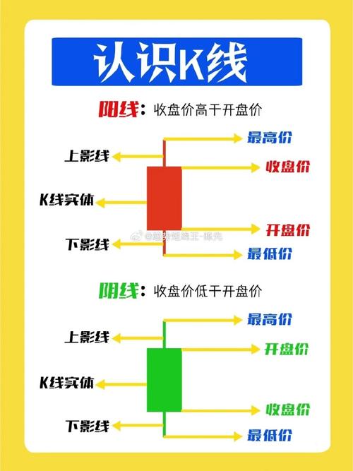 新手炒股基础入门知识全解析，带你看懂股市与投资