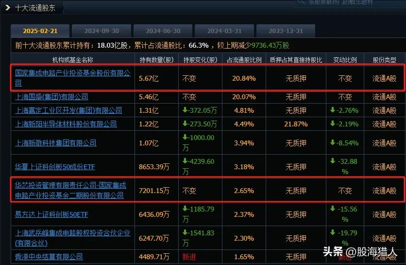中芯国际投资持股情况_国家集成电路产业投资基金_国家集成电路产业投资基金有限公司