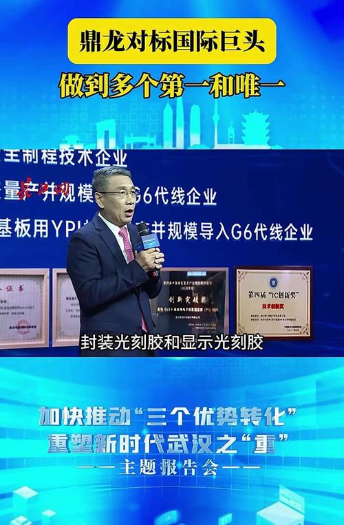 鼎龙配资 鼎龙文化转型影视落空后伸触角至采矿领域，受监管关注